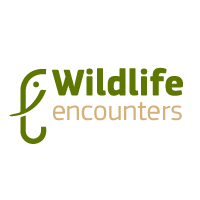 Wildlife Encounters